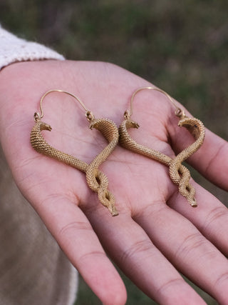 Brahman Earrings - Crystal Heal